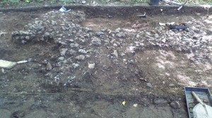 The flint wall in Trench D is becoming more apparent.
